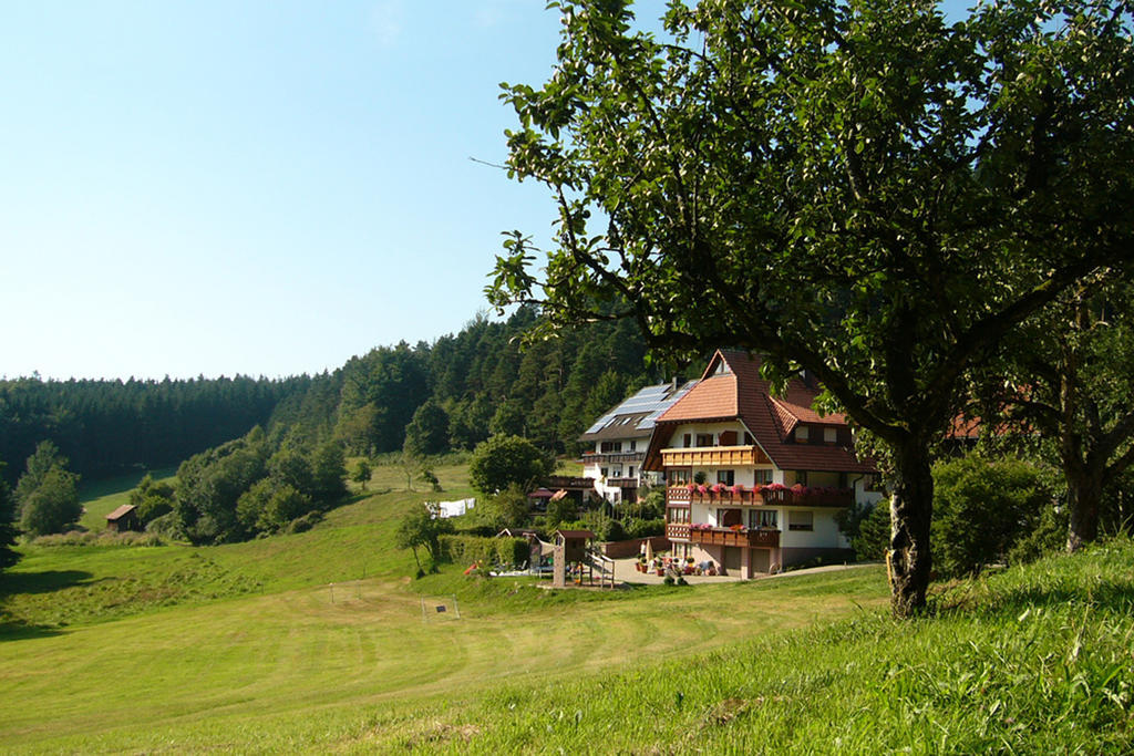 엘자흐 Schlosshof - Der Urlaubsbauernhof 빌라 외부 사진